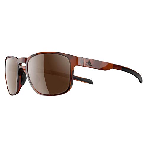 Adidas Protean Sunglasses 2018 Brown Havanna Frame/Brown Lens, Medium