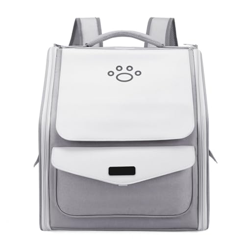 ybg bN LX^[t  E^L y 킢 ܂肽 ʋC  L L[obO J[g Lknht L bN t@Xi[bN@\ ybgL[ L e LsO/s/ʉ@/ЊQp (O[,o