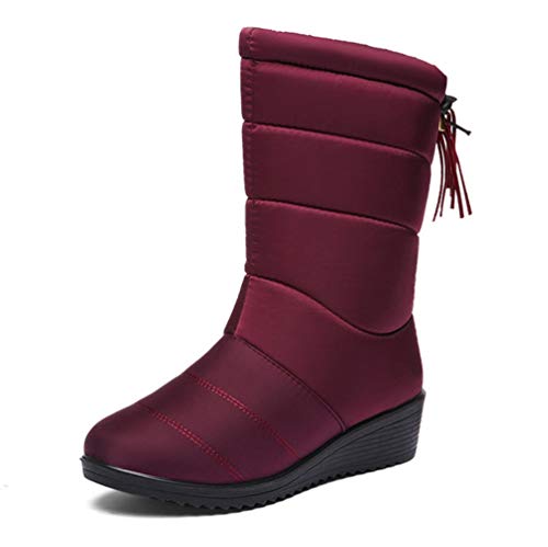 [J^N] Xm[u[c EB^[u[c fB[X  ےg h h h y C AEghAV[Y Snǂ  ӂӂ ȌC ~pu[c [gu[c Cbh 24.0cm