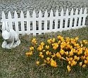 rg-vertrieb Gartenzaun 3,20m Weiß Zierzaun Lattenzaun Beetumrandung | 7 Module Kunststoff Zaun Friesenzaun | Höhe 35cm | Wetterfest, UV- & Frostsicher | Einfache Klick-Montage