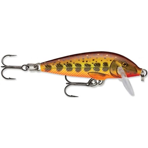 Rapala Countdown 1/4 Oz Fishing lure (Hot Mustard Muddler, Size- 2.75)