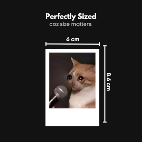 Funk You Store Cat Memes | Cute Cat PFPs Mini Poster Kit (Set of 15) | Cute Cat Memes & Cat PFPs Size (8 x 6 cm) Posters for Phone Accessories, Bedroom, Office, room decoration