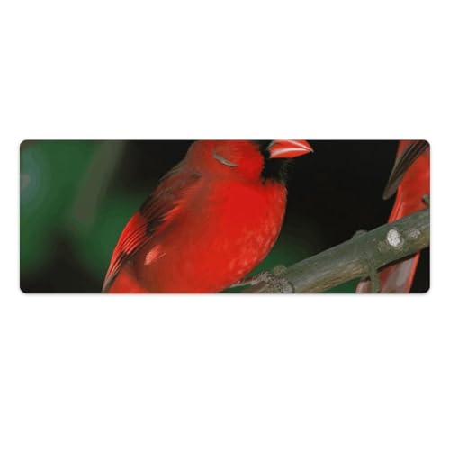 Tapis de souris XXL imperméable et antidérapant avec motif oiseaux rouges pour bureau