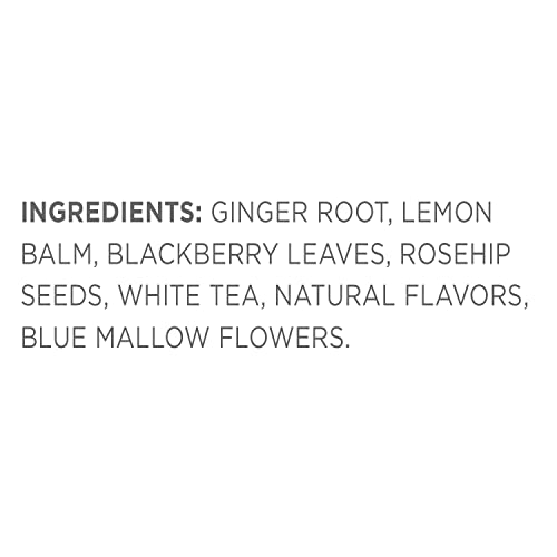 Tea Forte Tea Over Ice Blends, Five Iced Tea Infusers, Ginger Pear White Tea #TOP4