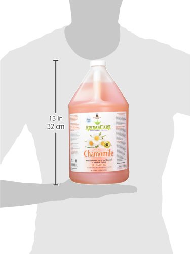 PPP Aromacare Soothing Chamomile and Oatmeal Shampoo, 3.8 Litre, 3.8L - Image 2