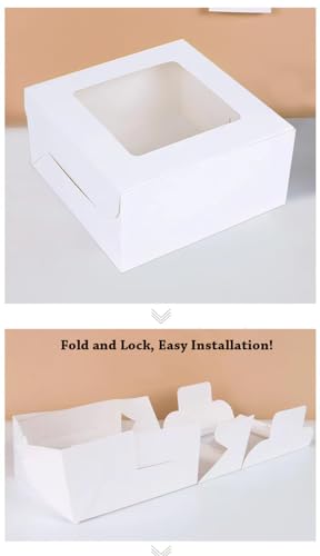 Packpal PALWCAKEBOX10X10X5-5-US 10 Inch Cake Boxes With Cake Boards 5Pack thumb #2