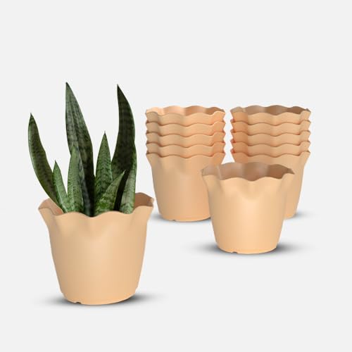 Image of YUCCABE ITALIA SHERA Flower Plastic Flower Pot Unbreakable Round Shape Planter with Drainage Holes Planter Suitable for Home Garden Seedling Indoor and Outdoor (Beige, 8 INCH - 12 Pcs)