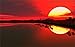 Peinture en Diamant Grande Taille Broderie Diamant Kit Complet, Paysage Rouge Coucher de Soleil 40x80cm 5D Diamant Painting par Numéro Kit, Strass Point De Croix Peinture au Diamant pour Décoration