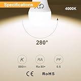 GY B0D6FG881R lato 4