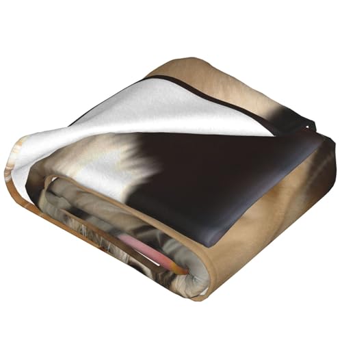 Couverture en flanelle microfibre super douce et légère toutes saisons - 4
