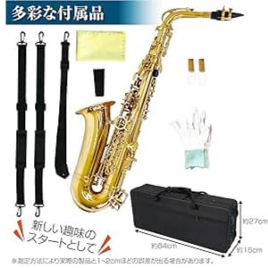 Amazon | アルトサックス 11点セット E Saxophone ゴールドラッカー