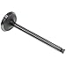 731151M1 One New Aftermarket Intake Valve Fits Massey Ferguson Tractors 35 50 202 203 204