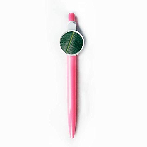 Stylo à bille rétractable bleu nature pour sublimer vos notes de réunion