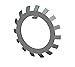 Whitett-Higgins WS-24 Stainless Steel Bearing and Shaft Lockwasher, For use with Whittet-Higgins NS-24, replaces Rose W-24, SKF W 24, Standard W-24, Timken W-24,
