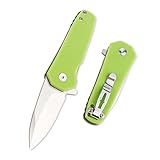 TENCHILON T34 Small Stout Flipper Folding Pocket Knife, 2.3 Inch Spear Point Blades, Fluorescent Gre