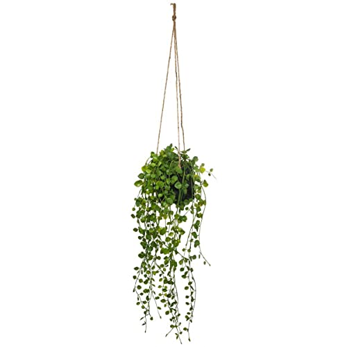Atmosphera - Plante Artificielle à Suspendre Living - Pot en Ciment - H10-5 cm