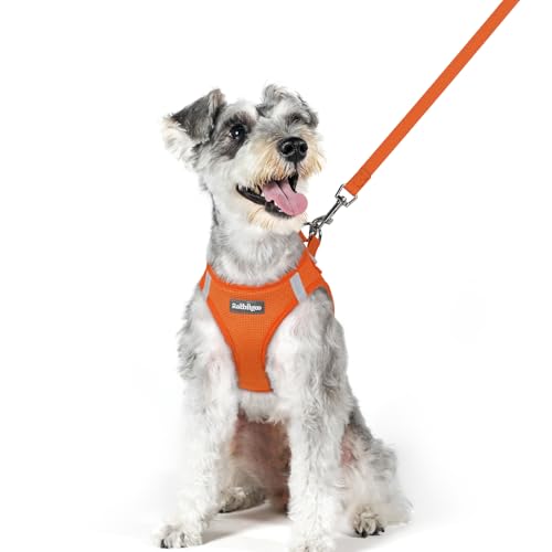 Image of rabbitgoo Dog Harness Medium Sized and Leash Set, Step-in Puppy Pet Vest