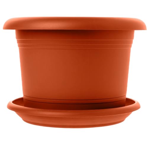 SUSTANIA 1er Set Pflanzkübel Groß Außen, 30cm Durchmesser, Terracotta Blumentopf groß außen mit Untersetzer, Blumenkübel groß aussen, Wetterfest, Made in Germany
