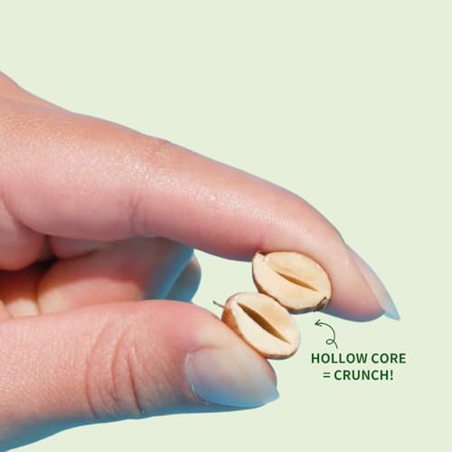 Daily Crunch Sprouted Almonds and Dehydrated nuts for a Unique Crunch, Keto Friendly, Non-GMO Zero Seed Oils, Gluten Free, 4oz (2 Pack, Dill Pickle)