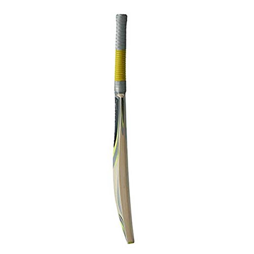 Puma Vendetta Force 4 Kashmir Willow Cricket Bat, Short Handle : Amazon.in:  Sports, Fitness \u0026 Outdoors