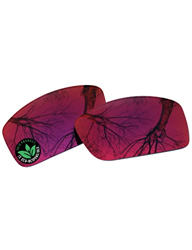 Image of Raydi Polycarbonate Replacement Lenses for Costa Del Mar Rincon 06S9018 Sunglasses