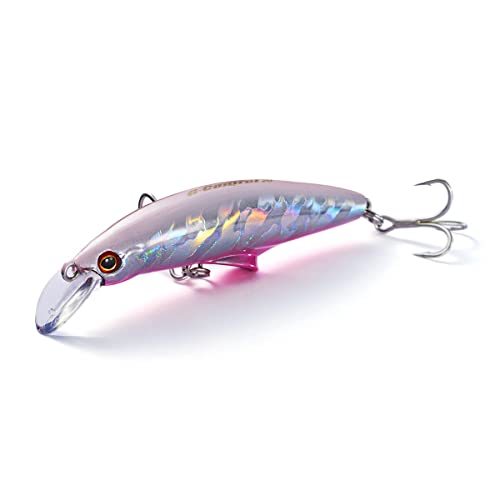 Jackson G-Control WHE Flounder Bait 0.7 oz (20 g) / 3.0 inches (75 mm)