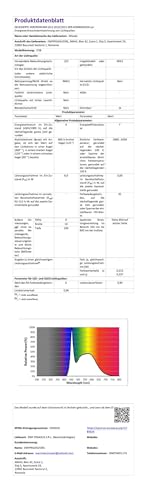 Wisada LED Lichtschlauch Außen, 220V 3m 36 LEDs/m Schlauch Indoor Warmweiß Leuchtstoffröhre, Outdoor Lichter Wasserdicht für Terrasse Wohnzimmer Weihnachten Partydeko