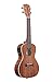 Kala KA-CGE Gloss Mahogany Concert Ukulele with Electronics