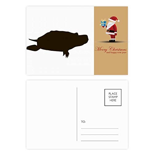 Cartes postales tortue noire Père Noël : lot papeterie Noël originale