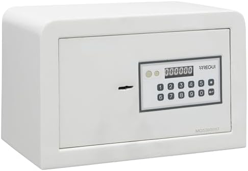 ARREGUI Magna 590010 Caja Fuerte con Cerradura de Doble Seguridad...