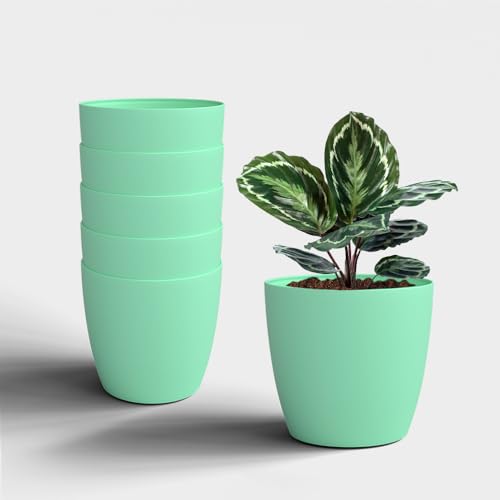 Image of YUCCABE ITALIA SHERA Stella 6 Inch Plastic Plant Pot for Home Decor Indoor Plant Pots for Living Room Plastic Flower Pot for Garden (Seagreen, 6 INCH - 6 Pcs)