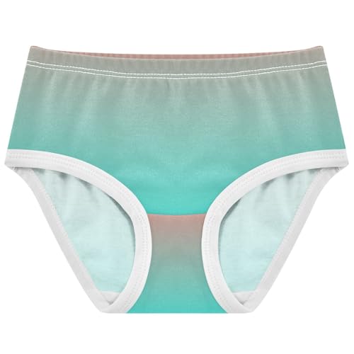 Joisal Coral Pink Turquoise Blue Gradient Girls Underwear Toddlers 2t Cotton Panties for Girl Fun Print Underpants Briefs