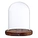 perfk Cupola di Vetro Vaso Fai da Te Forma di Campana di Vetro con Base in Legno - Brown B