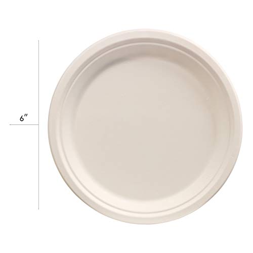 Stock Your Home Compostable 6 Inch Paper Plate - 100 Pack - Natural Disposable Bagasse Plate - Eco-Friendly Plate Made Of Sugarcane Fiber - 6 Inch Biodegradable Plate #TOP3