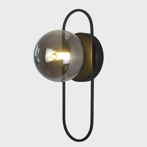 Flyrose Smoked Glass Globe Wall Sconce