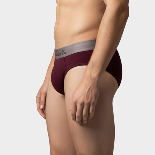 Image of Levi's Cotton Elite Brief | Premium Men's Brief Underwear | 4-Way Stretch | Outer Elastic Waistband | Double-Layered Pouch | Style 073 | Pack of 1