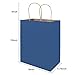 bagmad 100 Pack 8x4.75x10 Inch Medium Blue Gift Paper Bags with Handles Bulk, Kraft Bags, Craft Grocery Shopping Retail Party Favors Wedding Business Sacks (Blue, 100pcs)