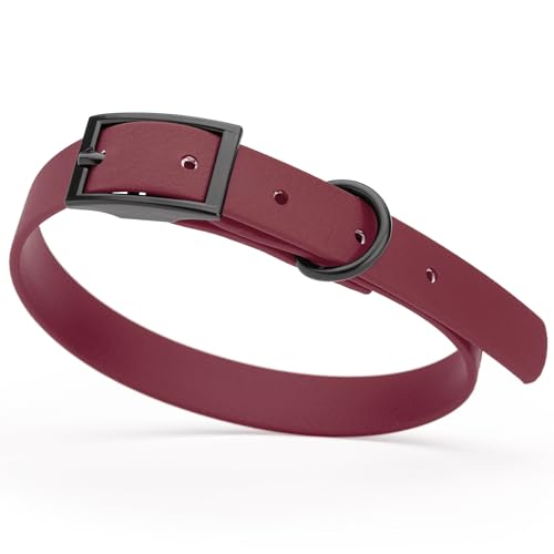 Image of Dogline Biothane Waterproof Dog Collar Strong Coated Nylon Webbing with Black Hardware Odor- Proof for Easy Care Easy to Clean High Performance Fits Small Medium or Large Dogs, Merlot Burgundy