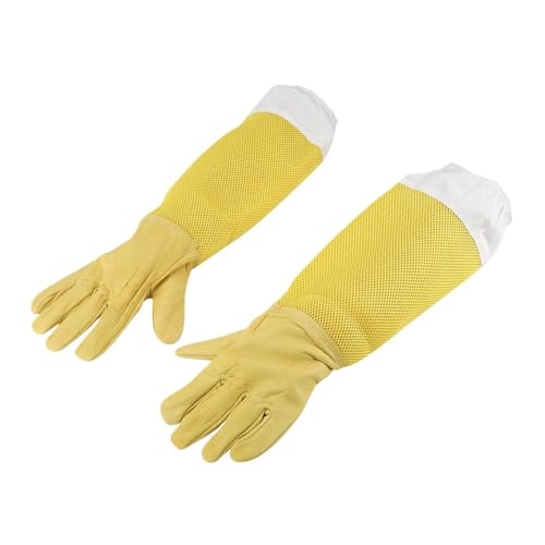 Outils apicoles et gants de protection en cuir de chèvre pour ruche