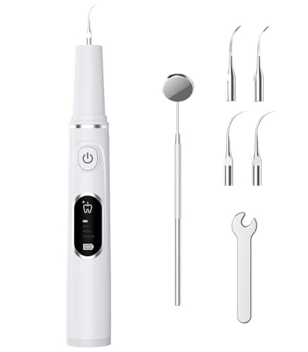 Dolado gN[i[ o 4[h USB[d LEDCg ƒp◷sɍœK {戵