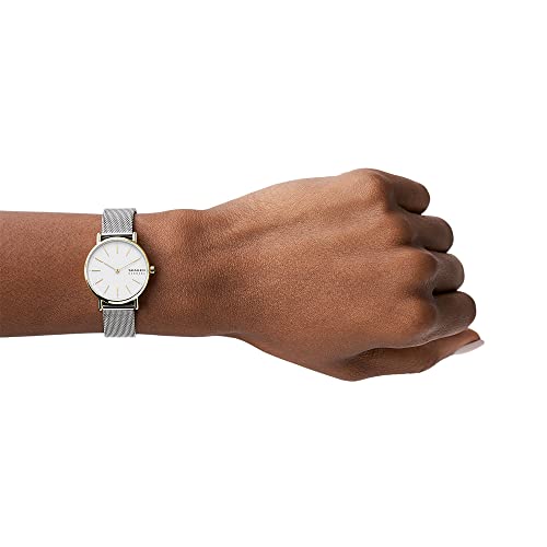 Skagen Damen Quarz 2 Zeiger Uhr mit Armband SIGNATUR LILLE SKW2910 – Bild 3