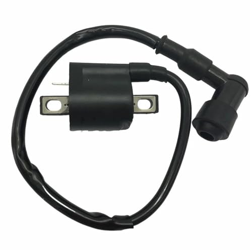 Bobina de encendido para Grizzly 125 y YFM350, repuesto de arranque directo para moto