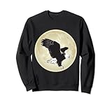 Photo Gallery falconeria eagle moon con falco e falco felpa Photo Gallery falconeria eagle moon con falco e falco felpa