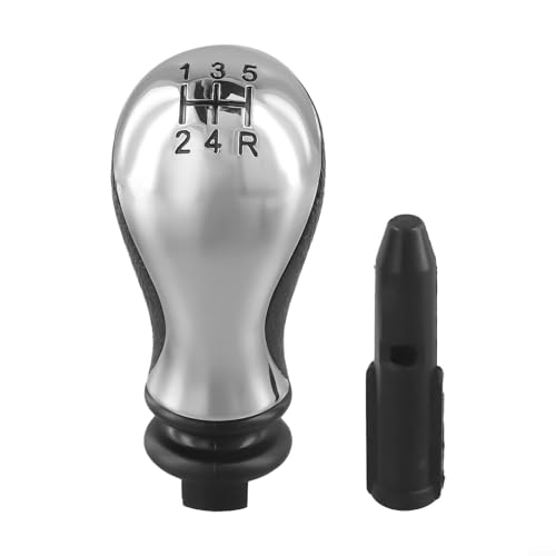 ZWEquipint Reemplazo de la cabeza del pomo de la palanca de cambios de 5 velocidades, color plateado mate, para C5 para Xsara 2001-2008, transmisión manual, orificio de montaje de 19 mm