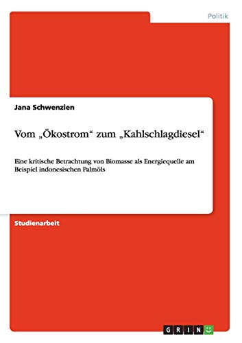 Preisvergleich Produktbild Vom ¿Ökostrom¿ zum ¿Kahlschlagdiesel¿: Eine kritische Betrachtung von Biomasse als Energiequelle am Beispiel indonesischen Palmöls