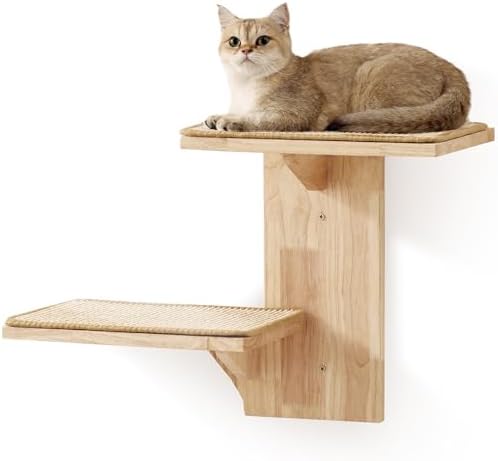 FUKUMARU Cat Wall Furniture with 2 Platforms, Made of Solid Rubbe...