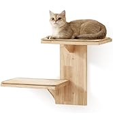 FUKUMARU Kratzbaum Bis Zur Decke - 6 Etagen Katzenbaum Mit Hängematte