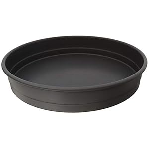 LloydPans Chicago Style Deep Dish Pizza Pan 12 Inch by 2.25 Inch – PSTK