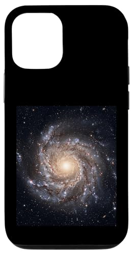 �Q����͌`�� �V�̕����w �F���\�� �X�}�z�P�[�X iPhone 12/12 Pro �p