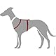 HUNTER ECCO SPORT VARIO RAPID Hundegeschirr, mit Steckverschluss, S-M, 48-70 cm, rot